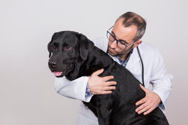 Veterinario abrazando a perro negro